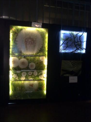 Led instalalzione